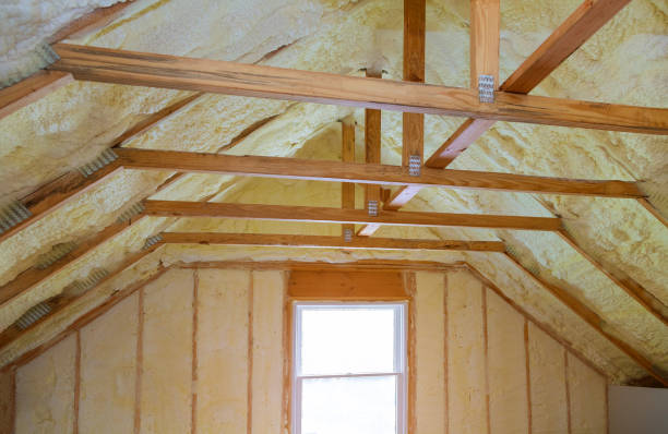 Best Cellulose Insulation in Fanning Springs, FL