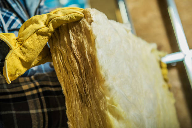 Best Cellulose Insulation in Fanning Springs, FL