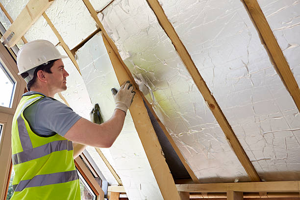 Best Geographic-Specific Insulation Services in Fanning Springs, FL