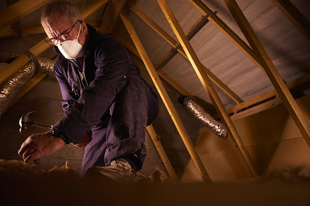  Fanning Springs, FL Insulation Contractor Pros