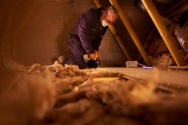 Best DIY Insulation Kits and Guidance in Fanning Springs, FL